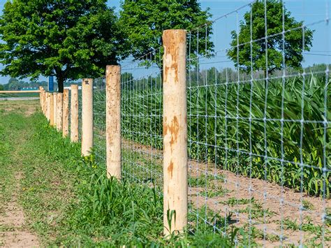 Woven wire fence. Things To Know About Woven wire fence. 